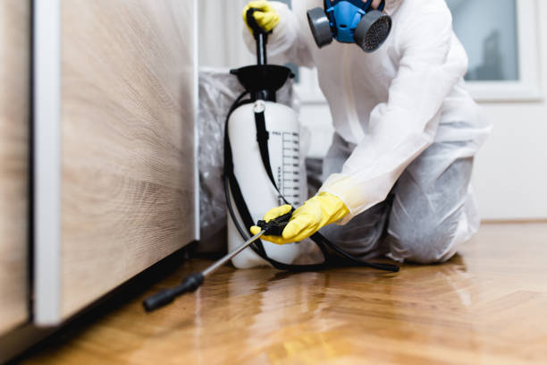 Best Ant Control Services  in East Sonora, CA