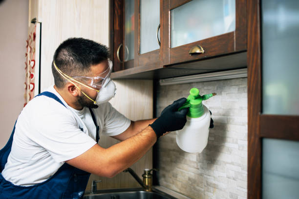 Best Mosquito Control Services  in East Sonora, CA