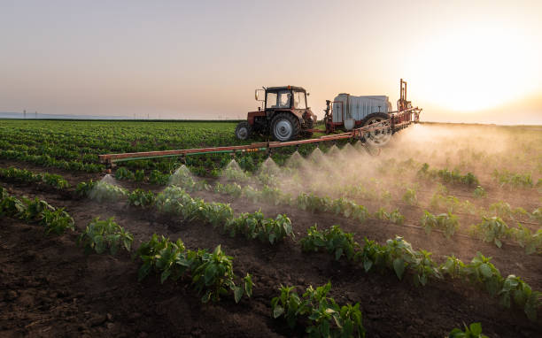 Best Pest Prevention Services  in East Sonora, CA