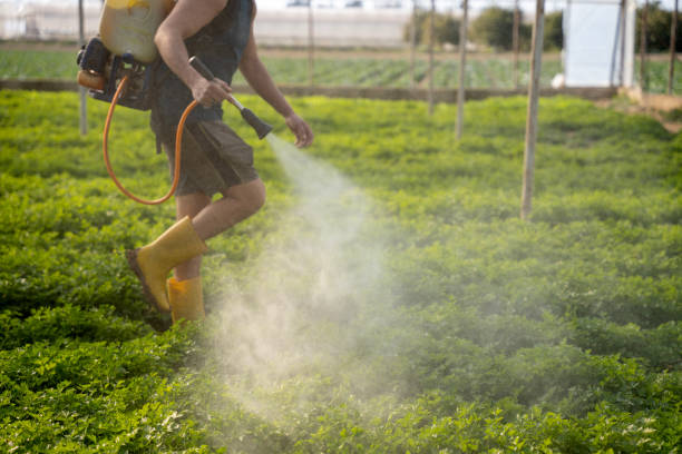 Best Pest Control Near Me  in East Sonora, CA